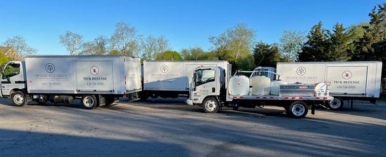 Organically Green team members working together